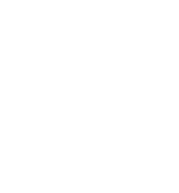 INTO THE WILD logo