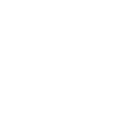 Daniz logo